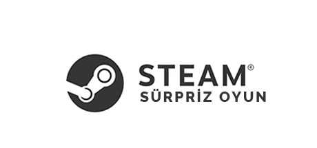 Steam Sürpriz Oyun
